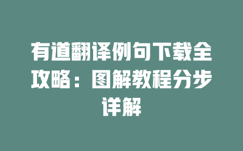 有道翻译例句下载全攻略：图解教程分步详解 二