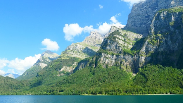 有道翻译下载攻略+拍照翻译手机设置详解 一