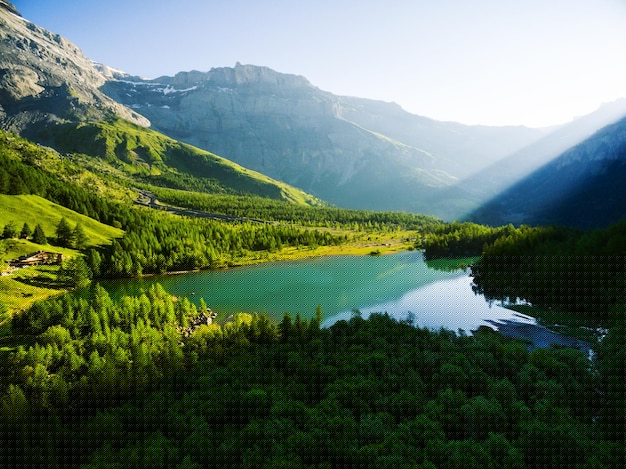 有道翻译手写问题解决方案指南2023 一