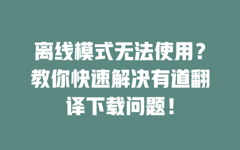 离线模式无法使用？教你快速解决有道翻译下载问题！ 二