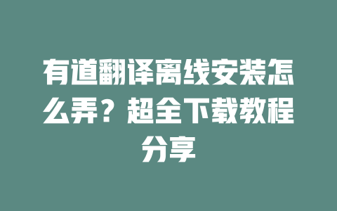 有道翻译离线安装怎么弄？超全下载教程分享 二