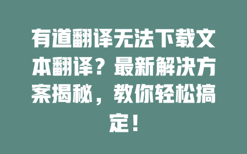有道翻译无法下载文本翻译？最新解决方案揭秘，教你轻松搞定！ 二