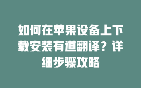 如何在苹果设备上下载安装有道翻译？详细步骤攻略 二