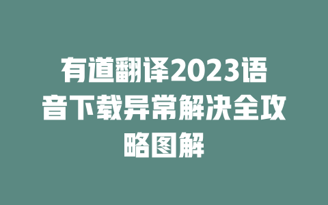 有道翻译2023语音下载异常解决全攻略图解 二