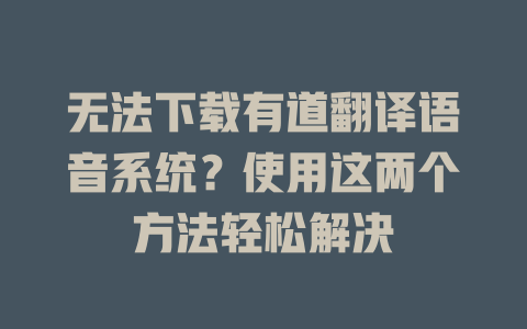 无法下载有道翻译语音系统？使用这两个方法轻松解决 二